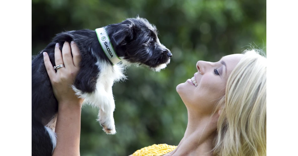 Skoda partners Dogs Trust