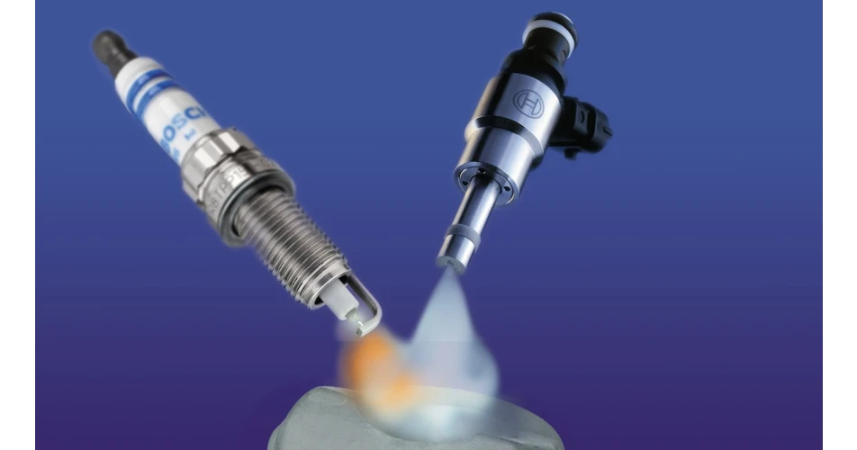 Bosch glow and spark plugs