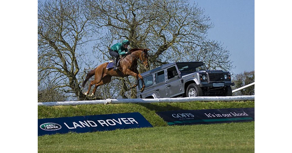 Goffs Vendor To Win Land Rover Defender At Punchestown<br />
