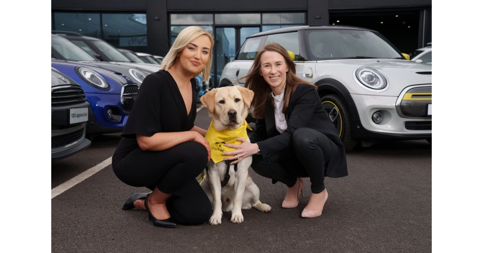 MINI in partnership with Dogs Trust