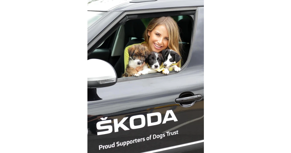 &Scaron;KODA announce the renewal of partnership with Dogs Trust