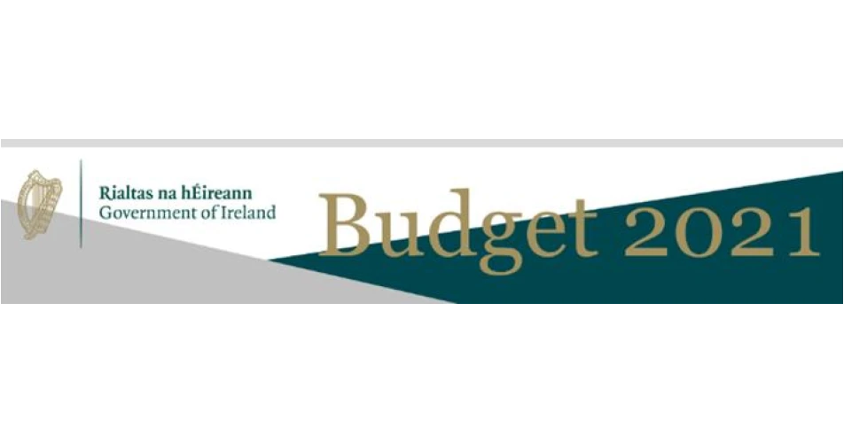 Budget 2021 – The impact on the automotive sector