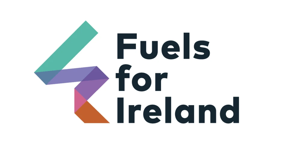 Budget increases makes Ireland&rsquo;s fuel some of the most expensive in Europe