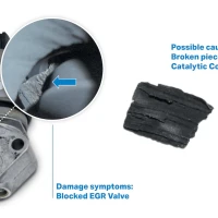 EGR Fault due to foreign bodies from exhaust