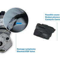 EGR Fault due to foreign bodies from exhaust